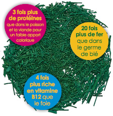 spiruline